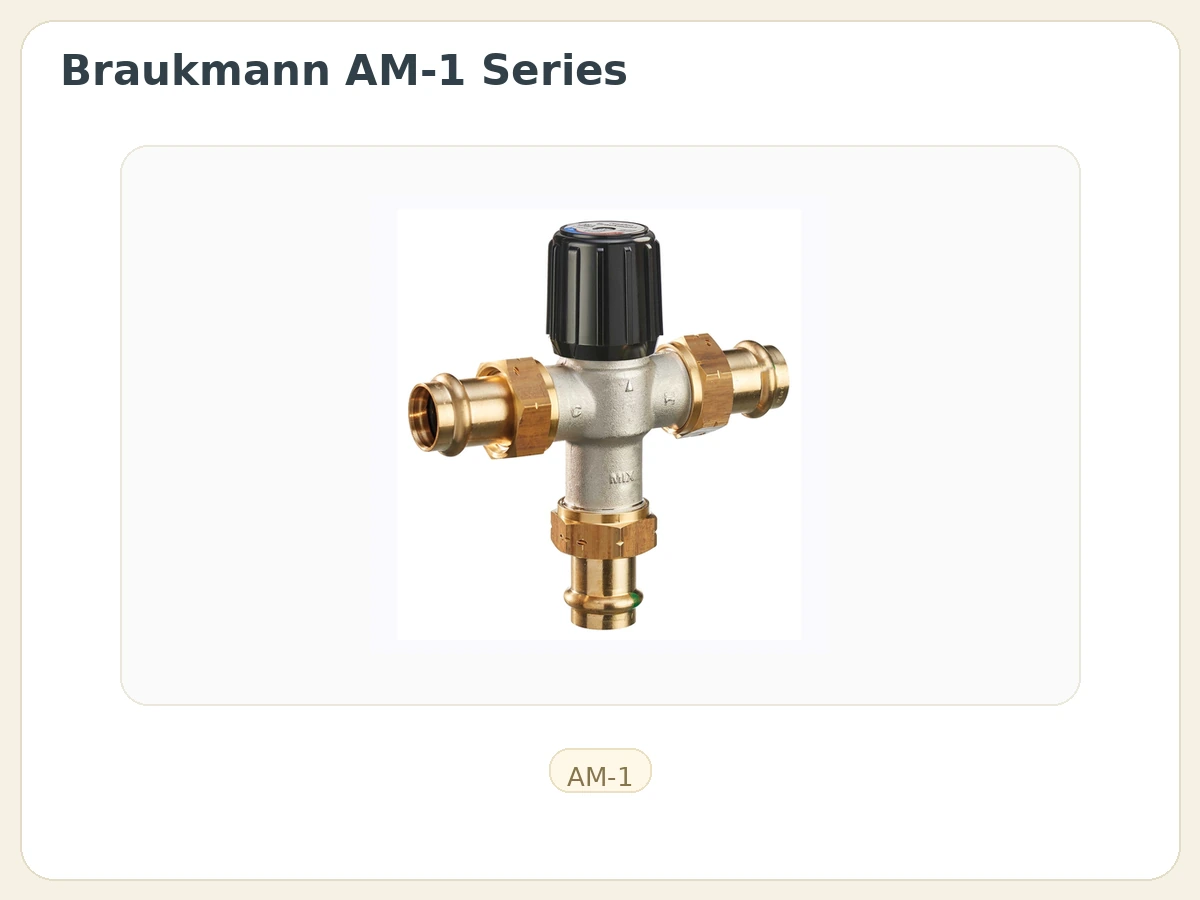 Braukmann AM-1